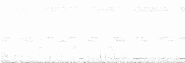 Giant Antshrike - ML611146750