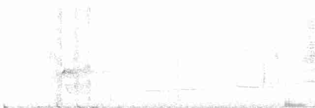 Лопатодзьоб рудокрилий - ML611147325
