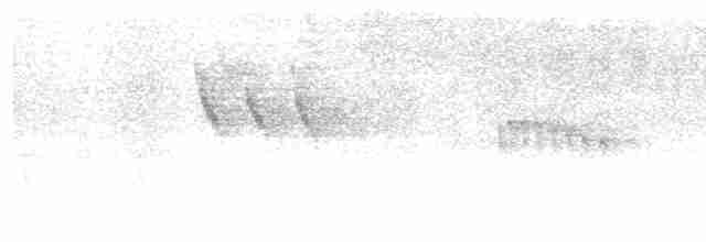 Çizgili Başlı Karıncakuşu - ML611149951