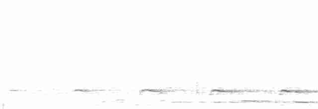 Амазонский трогон - ML61115031