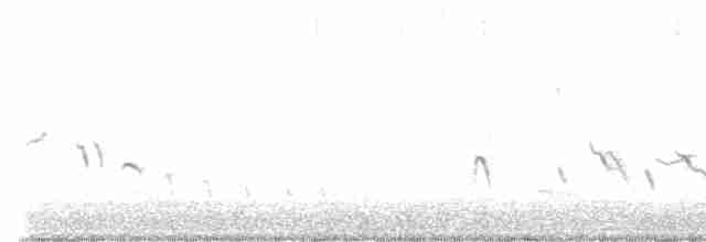 Chestnut-vented Warbler - ML611151332