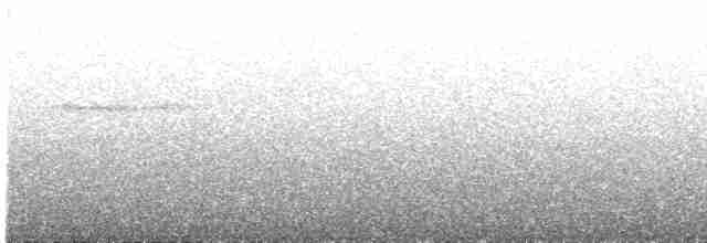 Grammatoptile strié - ML611151678