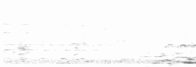 Kara Gagalı Guguk - ML611154269