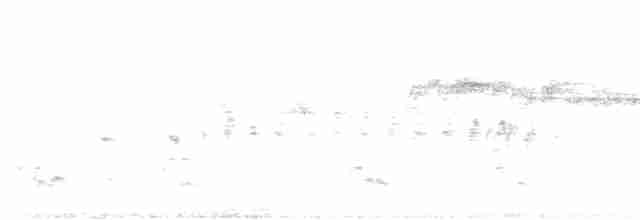 Büyük Kara Şahin - ML611155206