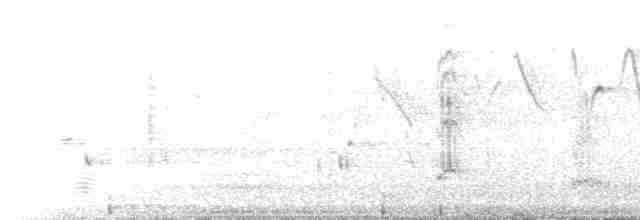 gråpanneskriketrost - ML611155265