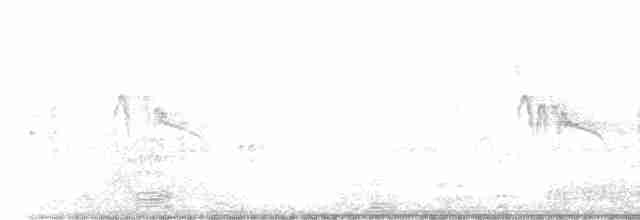 Kara Boğazlı Kolibri - ML611162073