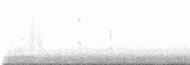 Канадская/Острохвостая овсянка-барсучок - ML611162981