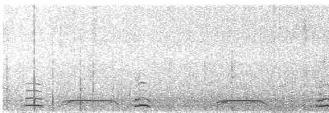 dvergsvane (columbianus) - ML611168552