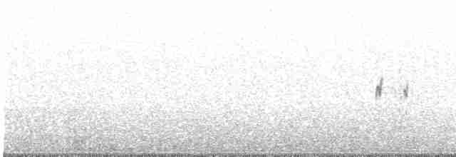 alkoun černohrdlý - ML611180577