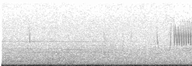 alkoun černohrdlý - ML611180596