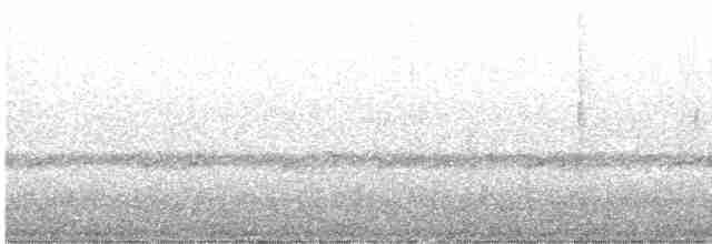 Bıyıklı Yerçavuşu - ML611181245