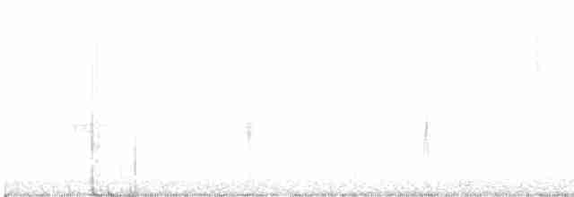 lesňáček černobílý - ML611182452