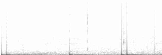 Olivgrau-Ameisenvogel - ML611185488