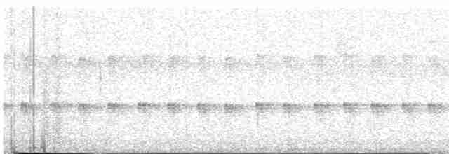 Тиранчик-чубань західний - ML611185502