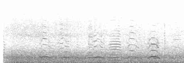 Cygne siffleur - ML611185849