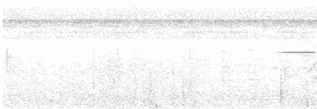 Tinamou de Berlepsch - ML611188194