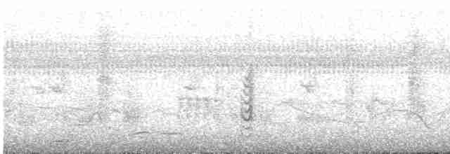 Пестрогорлая юхина - ML611188477