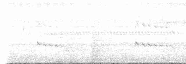 Alción de Esmirna - ML611189110