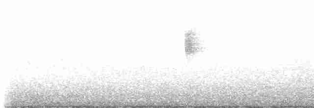 Arctic Warbler - ML611189699
