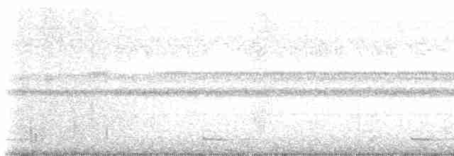 灰腳秧雞 - ML611190076