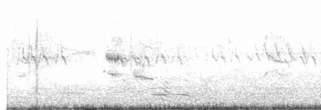 Lesser Crested Tern - ML611190868