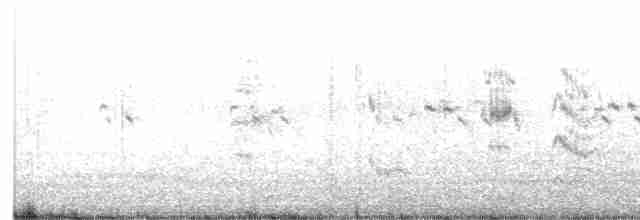 Lesser Crested Tern - ML611190869