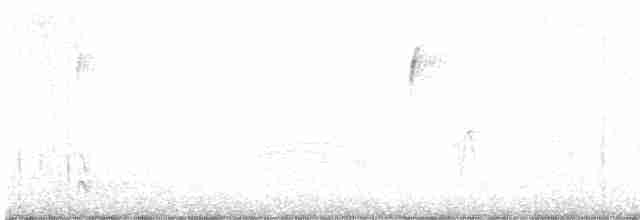 Пересмішник сірий - ML611193743