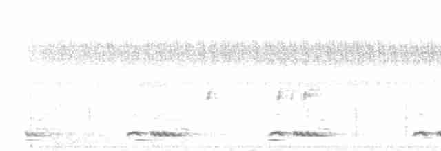 White-cheeked Barbet - ML611195534