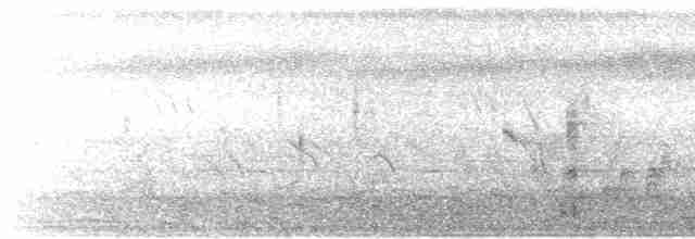 Кратеропа довгохвоста - ML611201697