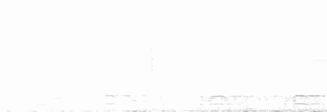 Common Yellowthroat - ML611204383