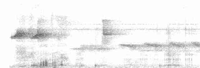 Листовик бурий (підвид andinus) - ML611205987
