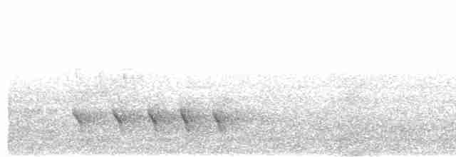 Bant Kuyruklu Çömlekçikuşu - ML611212547