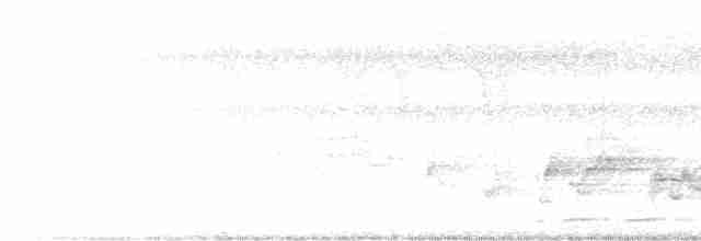 Желтоклювый саблеклюв - ML611220002