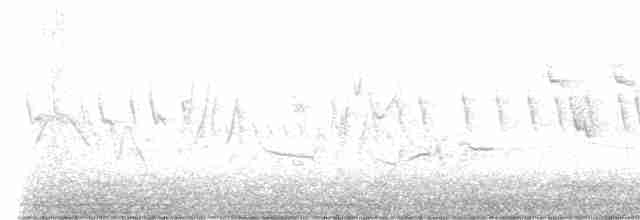 Кропив’янка рудогуза - ML611222519