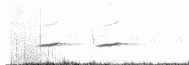 Пёстрая зебрина - ML611222521