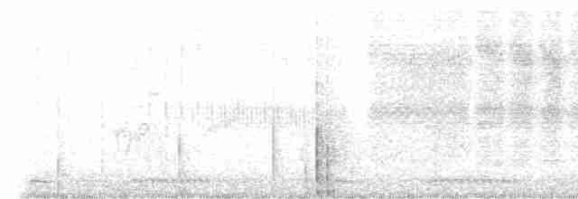 Окулярник капський (підвид virens) - ML611222528
