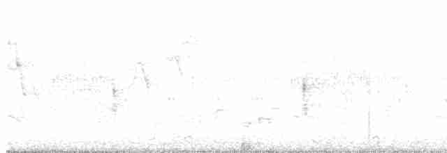 Sulphur-bellied Warbler - ML611223599