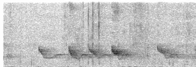 Swallow-tailed Manakin - ML611227247