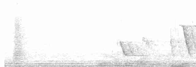 Трупіал-чернець чагарниковий - ML611227681