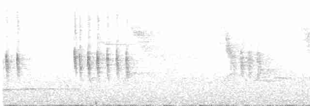 Troglodyte montagnard - ML611230116
