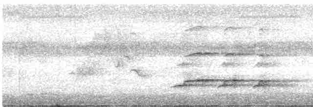 Орел-чубань індійський - ML611230521