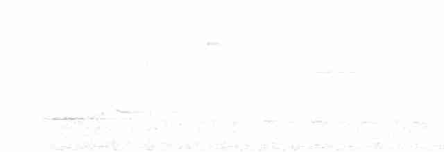 Ak Kanatlı Alev Karıncakuşu - ML611231318