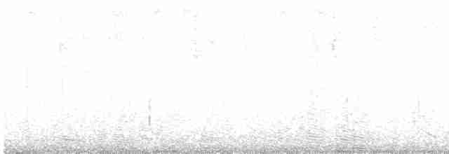 Troglodyte à poitrine grise (leucophrys/boliviana) - ML611231451