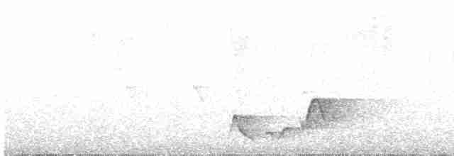 ハイムネモリミソサザイ（leucophrys／boliviana） - ML611231604