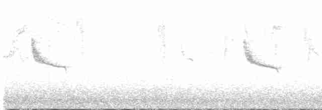Swinhoe's White-eye - ML611232987