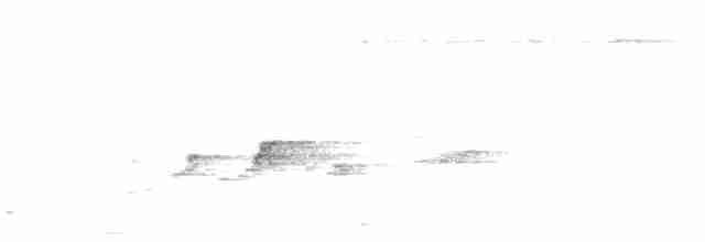 Тиран-карлик амазонійський - ML61123351