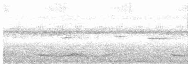 Silky-tailed Nightjar - ML611234653