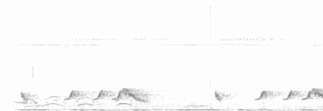 Rufous Nightjar - ML611235259