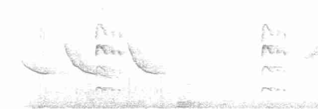 Colibri rubis-émeraude - ML611241877
