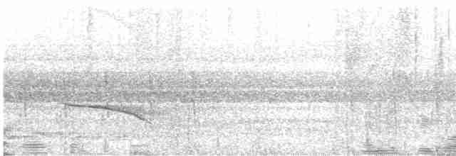 Néocossyphe à queue rousse - ML611242652